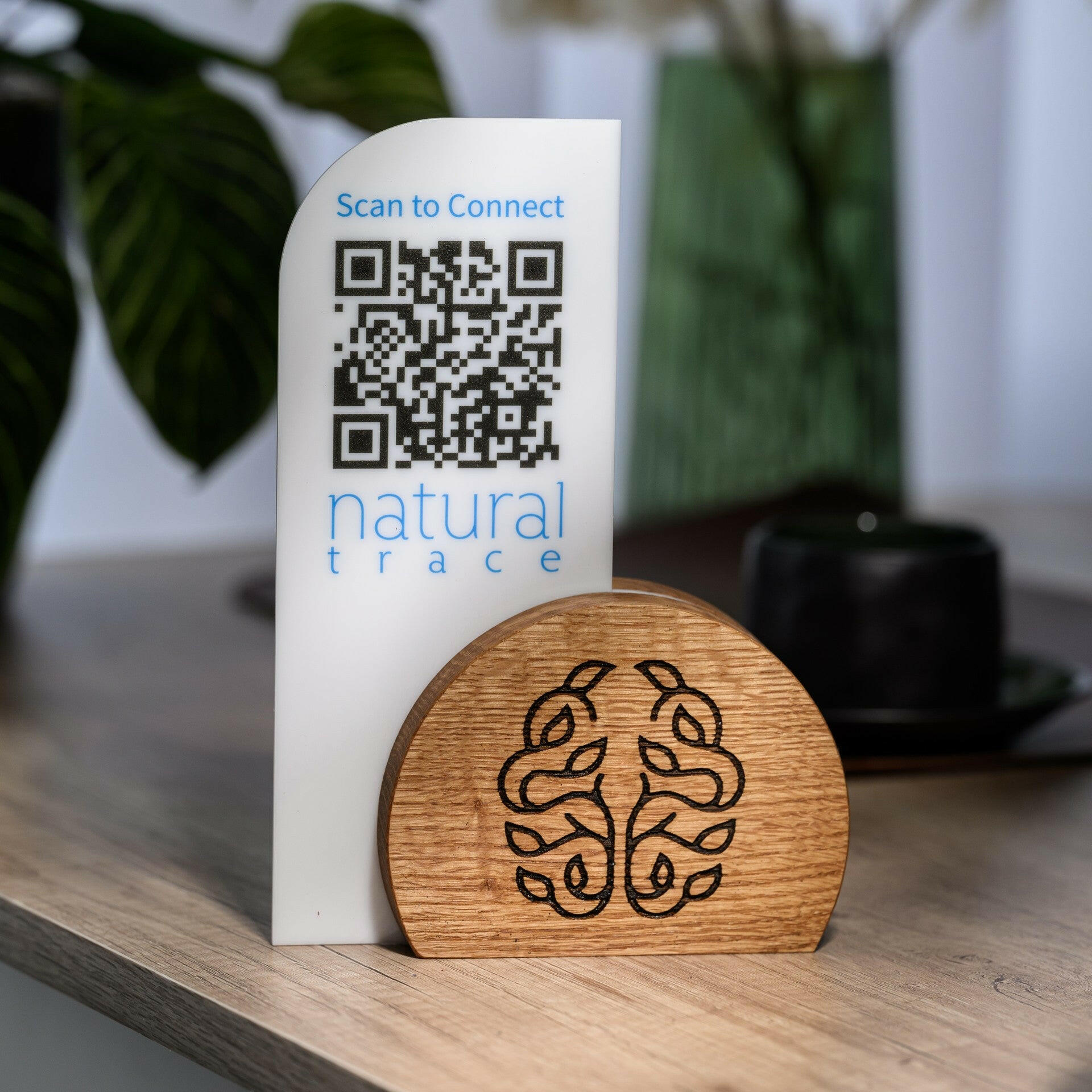 Sleek acrylic menu holder with QR code and logo, set on a wooden stand, perfect for showcasing menus and social media links.